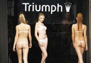  Triumph      