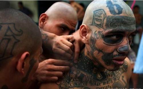 MS-13        .