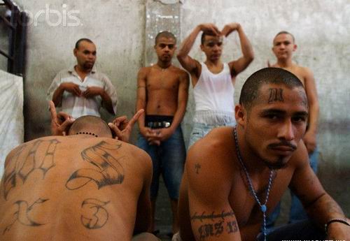 MS-13        .