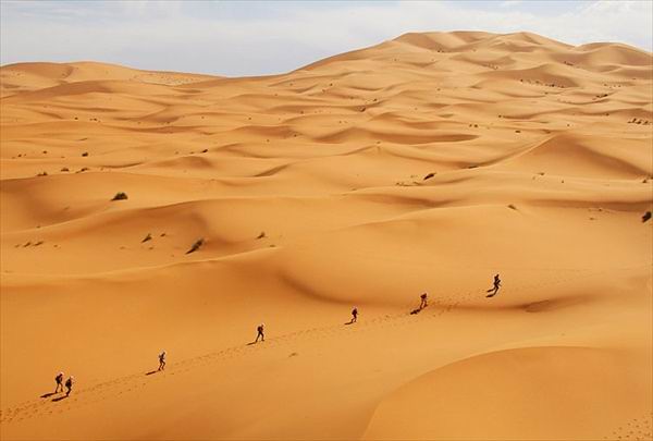      (Marathon des Sables)