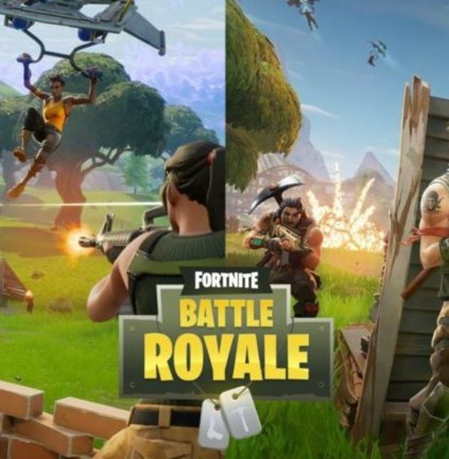   Fortnite Battle Royal