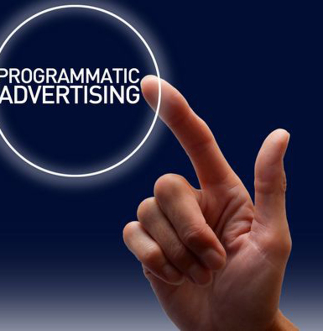    programmatic-:       